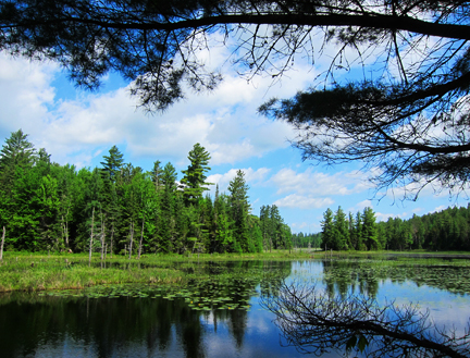 Adirondack Wetlands: Heron Marsh at the Paul Smiths VIC